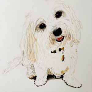 Gracie