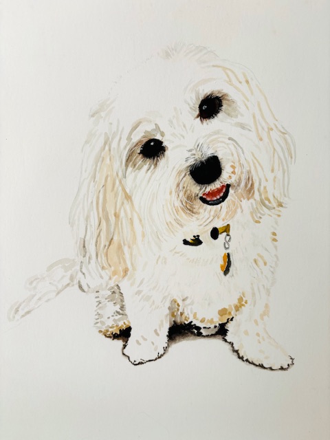 Gracie