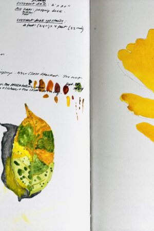 A New Season: Pay Attention & Write Your Way