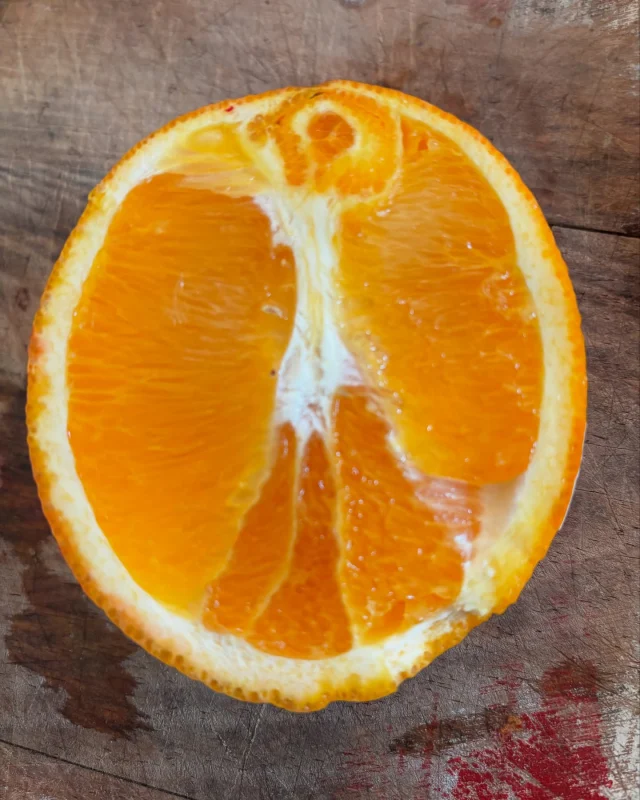 This morning I cut open an orange and saw a variation on the Vitruvian Man inside.
.
April 15th was Leonardo da Vinci’s 573rd birthday. 
.
I’ll take the muse’s invitation to contemplate the High Renaissance at breakfast.
.
And eat it.
.
I love slicing open everything from fruit to grief. 
.
Depth is the birth of humanism. 
.
Thank you, Leonardo. 
.

#meditation #orange #grateful #gratefulforthislife 
#vatruvianman #vatruvianwoman 
#joy #renaissance #leonardodavinci #micro